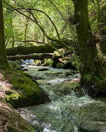 Casa De Porto * Barro (Pontevedra)