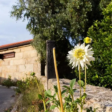 Casa De Porto Barro (Pontevedra)